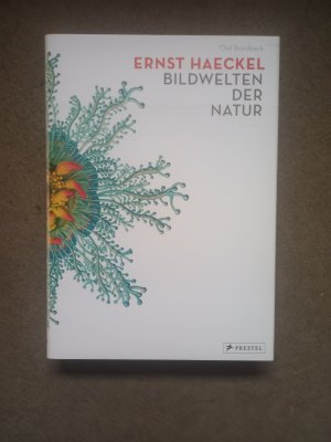 Ernst Haeckel. Bildwelten der Natur.