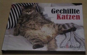 gebrauchtes Buch – Paulus Vennebusch – Gechillte Katzen