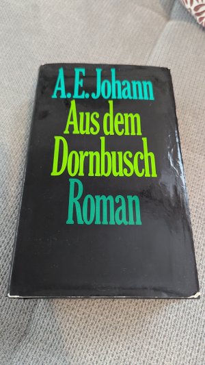 Aus dem Dornbusch