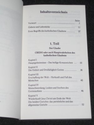 gebrauchtes Buch – Papst Pius X – Katechismus der katholischen Lehre des hl. Papst Pius X.