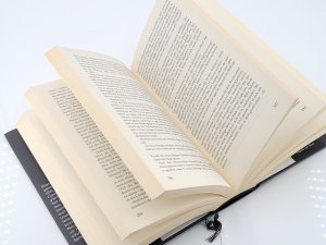 gebrauchtes Buch – Brian Lumley – Vampirzorn - Brian Lumleys Necroscope Buch 10 (2010)
