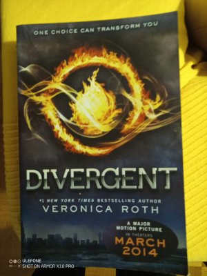 gebrauchtes Buch – Veronica Roth – Divergent