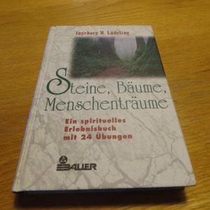 Steine, Bäume, Menschenträume - ein spirituelles Erlebnisbuch mit 24 Übungen