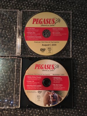 gebrauchter Film – diverse – Pegasus Pferde DVDs Freizeit im Sattel