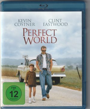 Perfect World