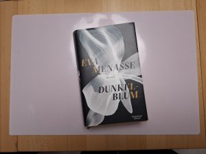 gebrauchtes Buch – Eva Menasse – Dunkelblum