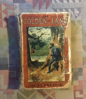 antiquarisches Buch – Benjamin Leopold Farjeon – The golden land, or, links from shore to shore