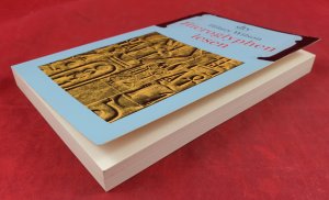 gebrauchtes Buch – Hilary Wilson – Hieroglyphen lesen