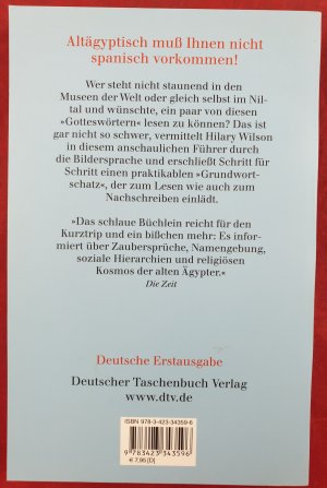 gebrauchtes Buch – Hilary Wilson – Hieroglyphen lesen