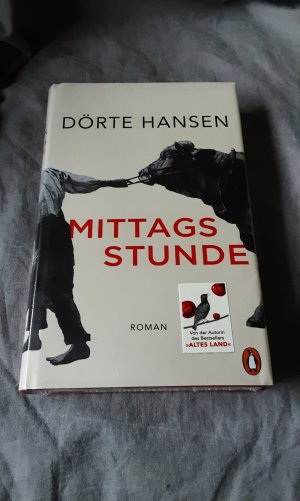 gebrauchtes Buch – Dörte Hansen – Mittagsstunde