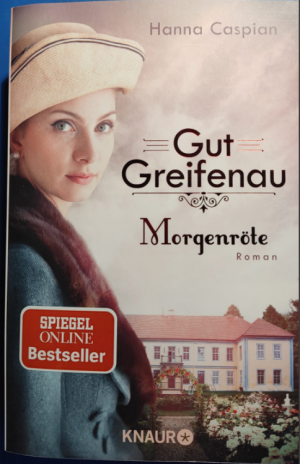 gebrauchtes Buch – Hanna Caspian – Morgenröte - Roman