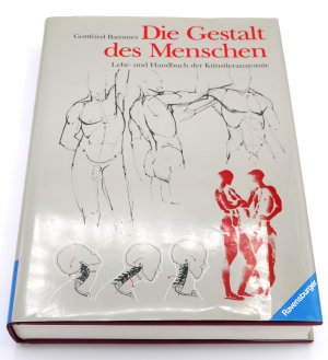 gebrauchtes Buch – Gottfried Bammes – Die Gestalt des Menschen. Lehr- und Handbuch der Künstleranatomie (8., ÜBERARBEITETE und erweiterte Auflage 1995)