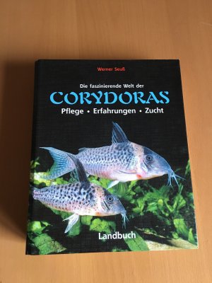 Die faszinierende Welt der Corydoras