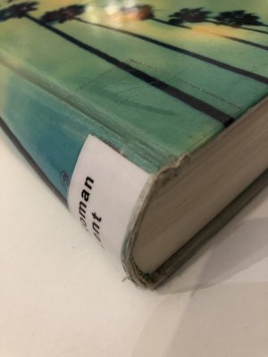gebrauchtes Buch – Michael Lentz – Pazifik Exil