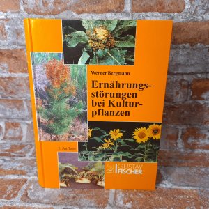 Ernährungsstörungen bei Kulturpflanzen