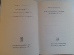 Grundprobeleme der Phänomenologie (Gesamtausgabe 25)