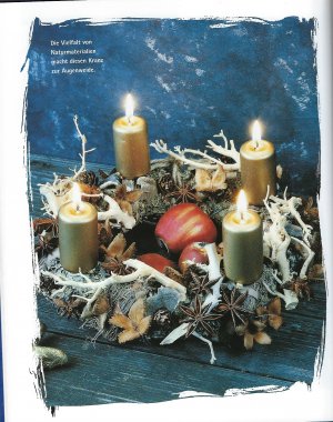 neues Buch – Felipe R. Visser – Zimmerschmuck für Advent und Weihnachten – Selber binden und zauberhaft arrangieren – NEU! –