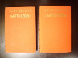 Martin Eden. Entwicklungsroman in zwei Bänden