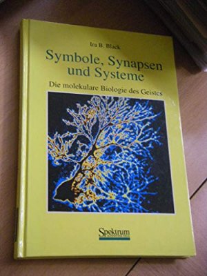 Symbole, Synapsen und Systeme