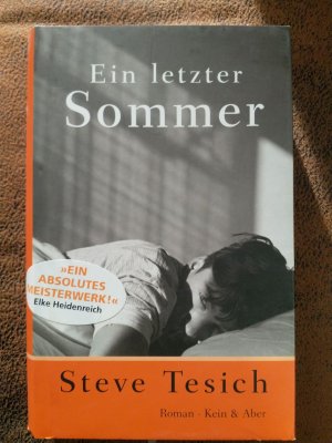 gebrauchtes Buch – Steve Tesich – Ein letzter Sommer