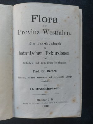 antiquarisches Buch – Karsch, Prof. Dr – Flora der Provinz Westfalen