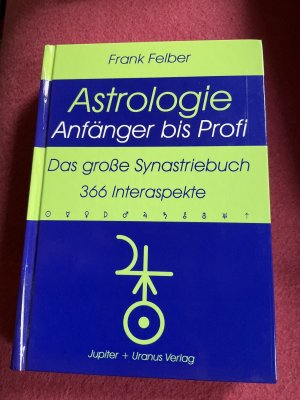 Das grosse Synastriebuch - 366 Interaspekte