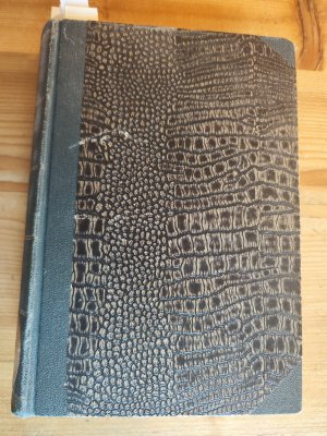 Der Firn. Sozialistische Rundschau über das politische, wirtschaftliche und kulturelle Leben. - vollständiger 2. Jg., v. 1. Oktober 1920 bis 15. September […]