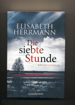 gebrauchtes Buch – Elisabeth Herrmann – Die siebte Stunde