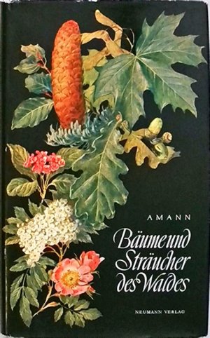 Bäume und Sträucher des Waldes