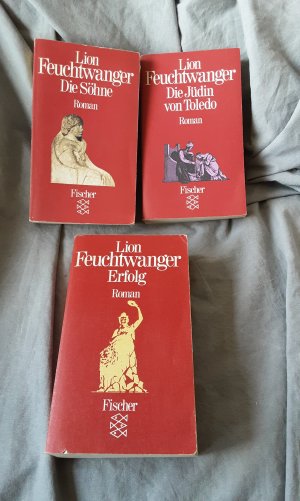 gebrauchtes Buch – Lion Feuchtwanger – Erfolg: Erfolg