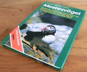 Meeresvögel