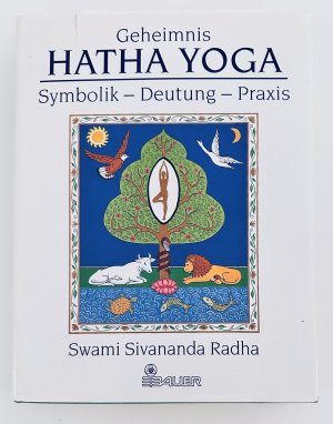 Geheimnis Hatha-Yoga