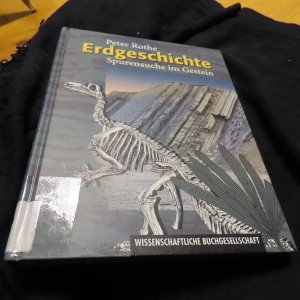 gebrauchtes Buch – Peter Rothe – Erdgeschichte - Spurensuch im Gestein