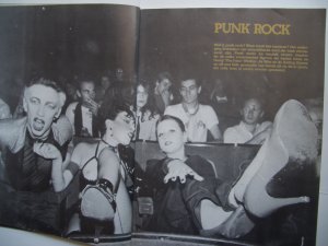 Punk Rock (De geschiedenis van de popmuziek nr. 4)