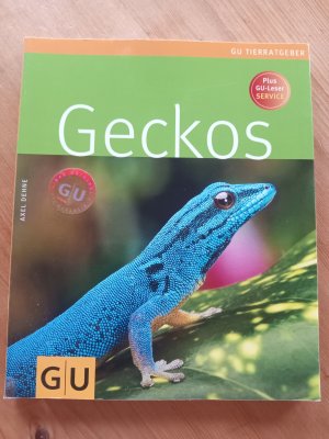 gebrauchtes Buch – Axel Dehne – Geckos