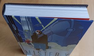 gebrauchtes Buch – Dean Motter – Mr. X