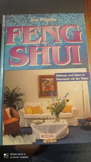 Feng Shui