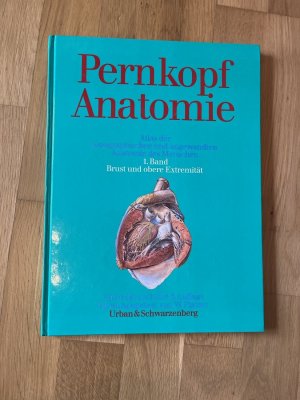 Pernkopf Anatomie 1. Band Brust und obere Extremität