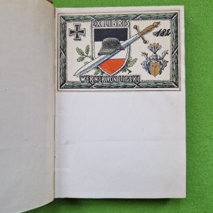 Von Räubern, Henkern und Soldaten. Als Stabsoffizier in Rußland von 1917-1919