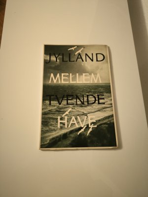 antiquarisches Buch – Viggo Vagnby – Jylland Mellem Tvende Have / mit zahlreichen alten Fotos