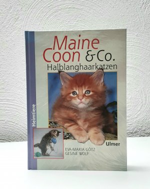 Maine Coon & Co.