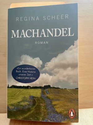 gebrauchtes Buch – Regina Scheer – Machandel