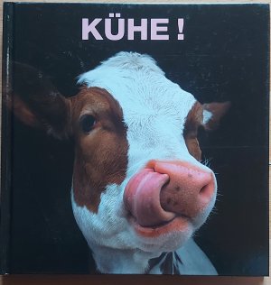 Kühe !