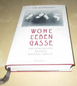 Wohllebengasse - Die Geschichte meiner Wiener Familie