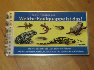 gebrauchtes Buch – Friedo Berninghausen – Welche Kaulquappe ist das? Der wasserfeste Amphibienführer