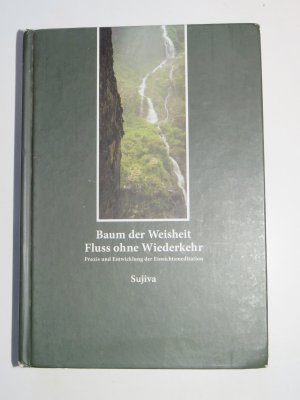 Baum der Weisheit. Fluss ohne Wiederkehr. Praxis und Entwicklung der Einsichtsmeditation