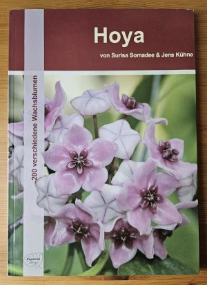 Hoya - 200 verschiedene Wachsblumen