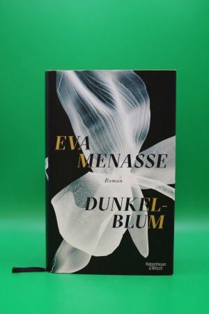 gebrauchtes Buch – Eva Menasse – Dunkelblum