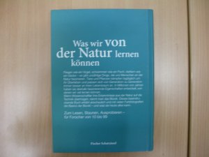 gebrauchtes Buch – Sigrid Belzer – Die genialsten Erfindungen der Natur - Bionik für Kinder