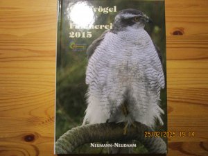 Greifvögel und Falknerei 2015